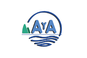 AYA
